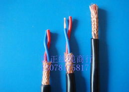 RVVP與KVVP屏蔽電纜及通信線(xiàn)纜 現(xiàn)代工業(yè)與通訊系統(tǒng)的可靠神經(jīng)