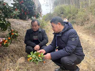 永?？h:迎春雨備春耕促春管