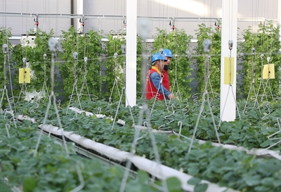 黨員服務隊員們上門走訪。閆蓓供圖