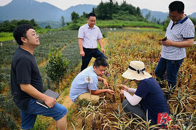省農(nóng)科院科技專家服務團深入龍山田間地頭助力產(chǎn)業(yè)發(fā)展