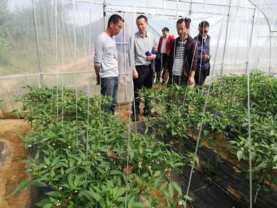 湖北省科學技術協(xié)會