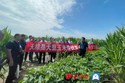 無棣縣科技特派員送“技”到田間，助力農(nóng)業(yè)科技服務(wù)升級(jí)