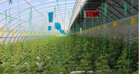 聚焦農(nóng)業(yè)科技服務 助推現(xiàn)代農(nóng)業(yè)發(fā)展的關鍵引擎